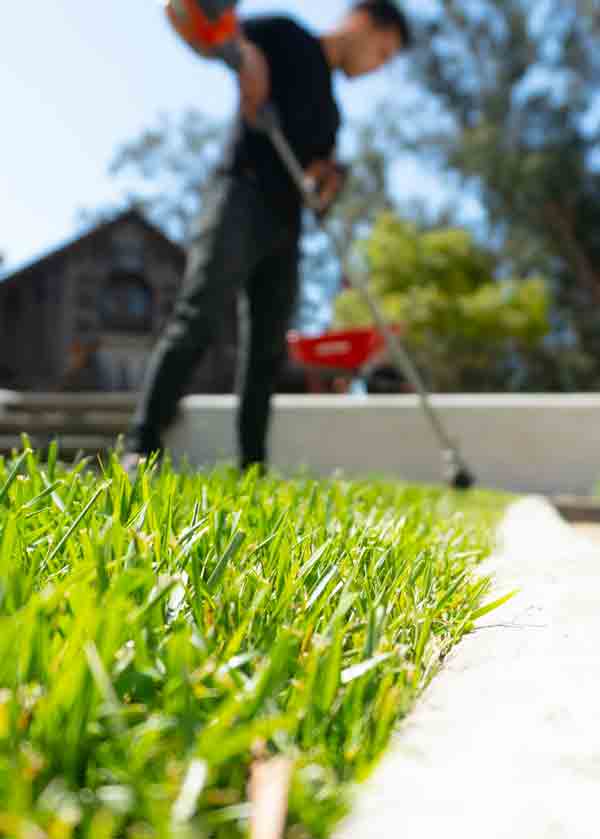 landscape-maintenance-39